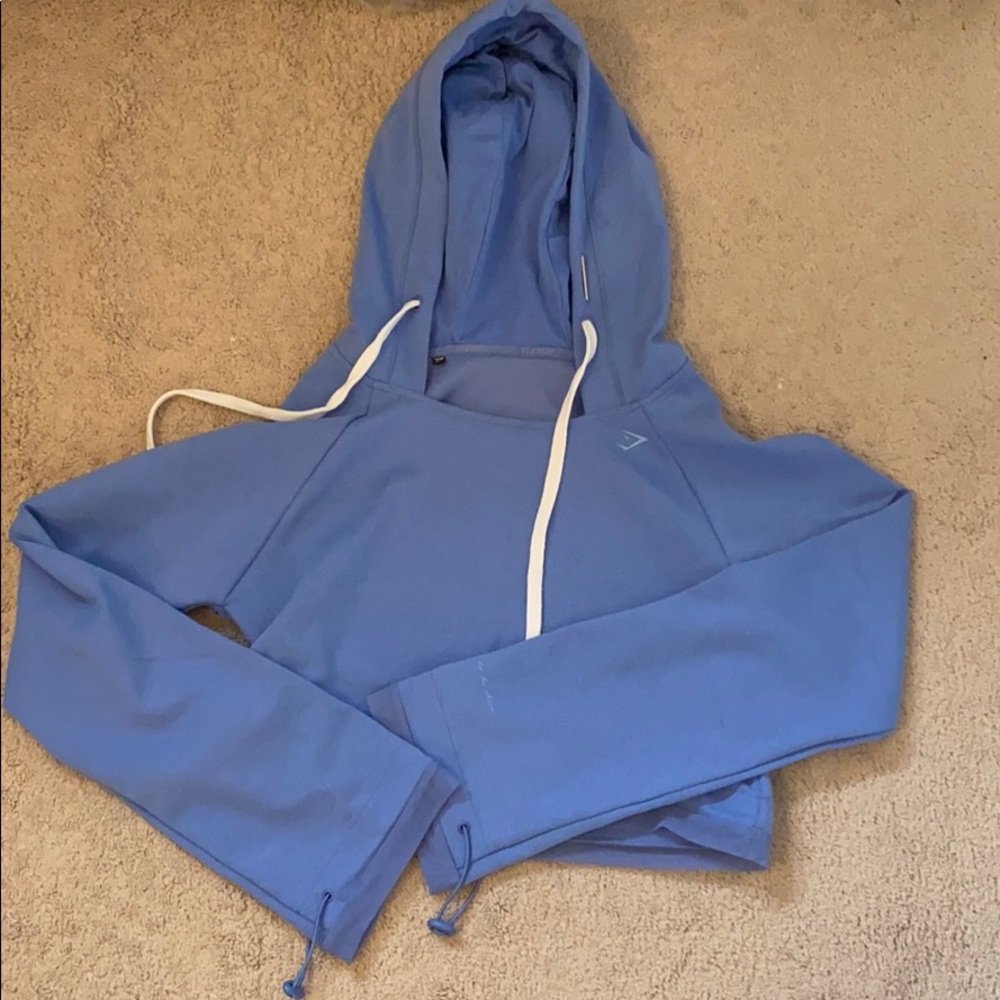 Whitney Simmons X Gymshark cropped sweatshirt